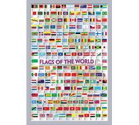 Educational - Éducation - Affiches - Drapeaux du monde + cadre interchangeable, Shinsuke® Maxi MDF argenté, vitre acrylique