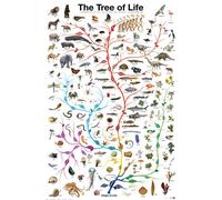 Educational - Education - Affiches - Tree of Life + 1 paquet de tesa Powerstrips® - Contenu 20 pièces