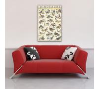 Educational - Éducation Dinosaures Dinosaur Poster 6 - Taille 68x98cm
