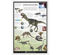 Educational - Éducation - Poster - Dinosaurs - Dorling Kindersley + cadre interchangeable, Shinsuke® Maxi MDF blanc, vitre acrylique
