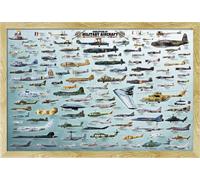 Educational - Education - Poster - Evolution of Military Aircraft + cadre interchangeable, Shinsuke® Maxi MDF hêtre, vitre acrylique