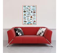 Educational - Éducation - Poster - Poissons de mer + 1 poster Ü de taille 61x91,5cm