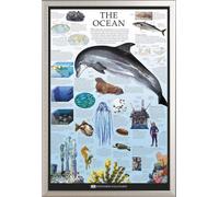 Educational - Éducation - Poster - The Ocean - Dorling Kindersley + cadre interchangeable, Shinsuke® Maxi aluminium argenté, vitre acrylique