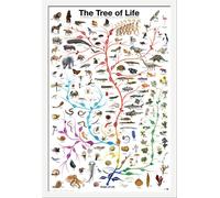 Educational - Education - Poster - Tree of Life + cadre interchangeable, Shinsuke® Maxi MDF blanc, vitre acrylique