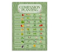 Educational Garden Poster, Companion Planting Chart for Vegetable Pairings, Canvas Wall Art for Classroom, Teacher's Lounge, Home Office(Framed,08x12inch(20x30cm))