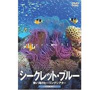 (Educational Interests) - Secret Blue [Edizione: Giappone]