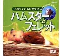(Educational Interests) - Synforest Dvd Hamster To Ferret/Chicchai Mono Club [Edizione: Giappone]