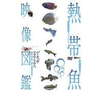 (Educational Interests) - Synforest Dvd Nettaigyo Eizou Zukan Virtual Aquarium Eizou To Oto De Tan [Edizione: Giappone]