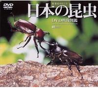 (Educational Interests) - Synforest Dvd Nihon No Konchuu [Dvd Eizou Zukan] [Edizione: Giappone]