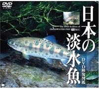 (Educational Interests) - Synforest Dvd Nihon No Tansuigyo [Dvd Eizou Zukan] [Edizione: Giappone]