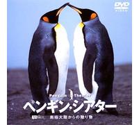 (Educational Interests) - Synforest Dvd Penguin Theater Nankyoku Tairiku Kara No Okurimono [Edizione: Giappone]