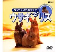 (Educational Interests) - Synforest Dvd Usagi To Risu/Chicchai Mono Club [Edizione: Giappone]