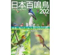 Dvd 202