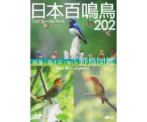 (Educational Interests) - Wild Birds Of Japan [Edizione: Giappone]