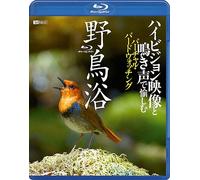 (Educational Interests) - Yachou Yoku Highvision Eizou To Nakigoe De Tanoshimu Virtual Birdwatchin [Edizione: Giappone] [Blu-ray]