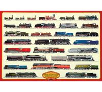 Educational Steam Locomotives Locomotives à vapeur Poster - Taille 98x68 cm