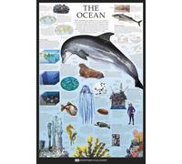 Educational - The Ocean - Dorling Kindersley Océan Poster éducatif - Impression de poster