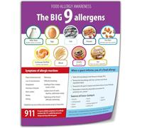 Educational Wall Art Food Groups Chart Major Types Of Foods Nutrition Basics For Study Kitchen Classroom Poster(Framed,12x18inch(30x45cm))