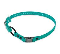 Educator Collier élastique pour Chien avec Bouton-Pression, biothan, imperméable, inodore, Facile à connecter et à séparer, Anneau en D avec Boucle élastique Confortable, réglable pour Une Personne
