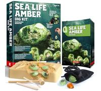 EDUMAN Kit de Fouille d'Ambre, Fossiles et Kit d'Excavation de Fossiles, Expériences de Fouille à partir de 6 Ans, Jouet Éducatif Cadeau pour Garçons et Filles (Animaux Marins)