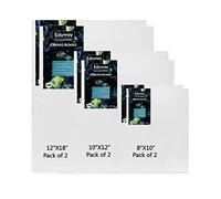 Eduway Lot de 6 panneaux de toile pour peinture - 20 x 10 | 10 x 12 | 12 x 18 cm | 2 de chaque | Toile de coton pré-apprêtée de qualité supérieure pour artistes et débutants | Idéal pour l'acrylique