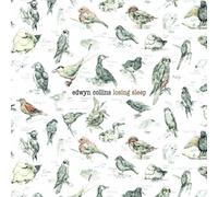 Edwyn Collins - Losing Sleep [Import]