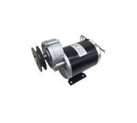 EDXFICDQ 600W 36V 48V Aimant brossé Tricycle électrique poulie à Courroie DC motoréducteur Pompe à Eau Solaire Pompe à Eau entraînement MY1020Z(48V)