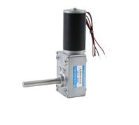 EDXFICDQ Moteur à engrenage à vis sans Fin 12V 21W 24V 25W DC, Arbre étendu 51MM, Grand Couple 5840-31ZY, Vitesse réglable CW CCW, Petit Moteur(160rpm,24V Motor)