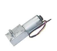 EDXFICDQ Moteur à engrenage à vis sans Fin 12v 24v, encodeur 5840-555B, Haute Vitesse, Moteur à Courant continu(16RPM_24V)