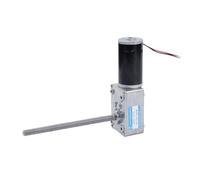 EDXFICDQ Réducteur d'engrenage à vis sans Fin 12V 21W 24V 25W DC, Moteur T8, Arbre à vis 5840-31ZY, Vitesse réglable CW CCW 8mm(12V160RPM,215 Only Motor)