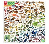 Puzzle carré 1000 pièces : Un monde arc en ciel G