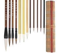 EEEKit Pinceaux de Calligraphie Chinoise, Stylo Calligraphie, Pinceau Kanji Sumi Japonais de Taille Mixte pour éTudiant Débutant, 12 Pièces