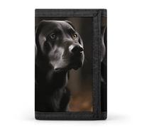 Eekstdbn Portefeuille à trois volets, porte-cartes et porte-monnaie mince et élégant avec fermeture éclair pour homme et femme Motif labrador noir