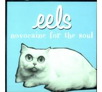 Eels - Novocaine
