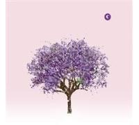 Eels - Tomorrow Morning