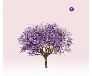 Eels - Tomorrow Morning