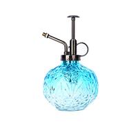 EESLL Lot de 2 vaporisateurs en verre pour plantes, 200 ml, style vintage, arrosoir pour plantes grasses, avec pompe supérieure pour décoration de jardin et d'intérieur