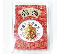 EEzyzy Ornement de Richesse tibétain Tortue d'argent, Tortue de cuivre Pur Feng Shui, positivité Vivante Vastu, Richesse, Argent, Bonne Chance et longévité