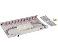 EFB-Elektronik Boîte d'épissure LC 50/125µ OM4 extensible, 24 pigtails déportés/12 coupleurs Fabricant : EFB Elektronik (BA71901L24OM4)
