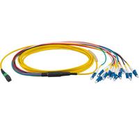 EFB Elektronik MTP®-F/LC 12-Fasermatrix Patchkabel OS2,LSZH jaune, 2m, Application : Convient pour des lignes de transmission jusqu'à 100 GigabitConstruction : 1 connecteur multifibre MTP® d'un côté,6