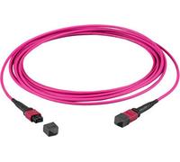 EFB-Elektronik MTP¬-F/MTP¬-F 48-Fasermatrix Patchkabel OM4, LSZH erika-violett, Code A, 10m Fabricant : EFB Elektronik (MTPF48MTPFOM4-10-A)