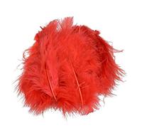 Efco Lot de 20 Plumes de Marabou Rouge 100 à 120 mm 2 g