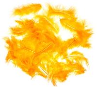 Efco Plumes de Marabout, Orange, 100-120 mm, 2 G, 20 pièces