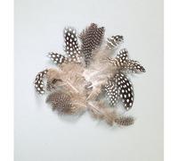 Efco Poulille d'Inde en Molleton 40-80 mm 3 g ~ 36 pièces Naturel, Plumes, 12 x 5 x 2 cm