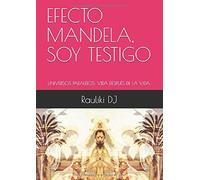 Efecto Mandela, Soy Testigo: Universos Paralelos: Vida Después De La Vida. (Rauliki Dj)