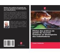 Efeitos Das Práticas De Gestão De Recursos Humanos No Desempenho Dos Trabalhadores