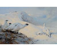 EfeMir Tableaux sur Toile Image Imprimén Célèbre Le lagopède appelant dans la neige par Archibald Thorburn Pour la Décoration Murale 60x90cm