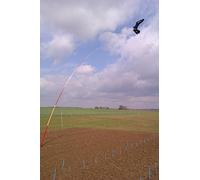 EFFAROUCHEUR A Oiseaux Qualite Professionnelle