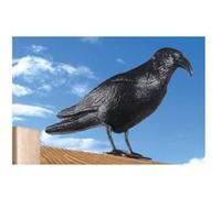effaroucheur a pigeons - design de corbeau G
