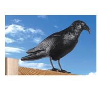 Effaroucheur à pigeons - Design de corbeau - Noir - Plastique - 200x120x480mm